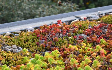 the cost of Ickwell green roof installation