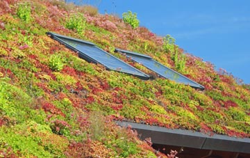 Ickwell living roof systems